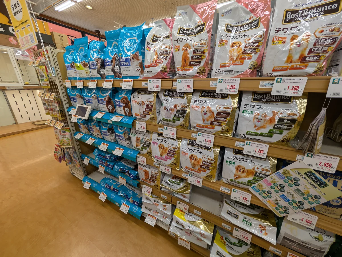 ドッグフード売り場で魚系フードを選ぶトイプードル向けのイメージ