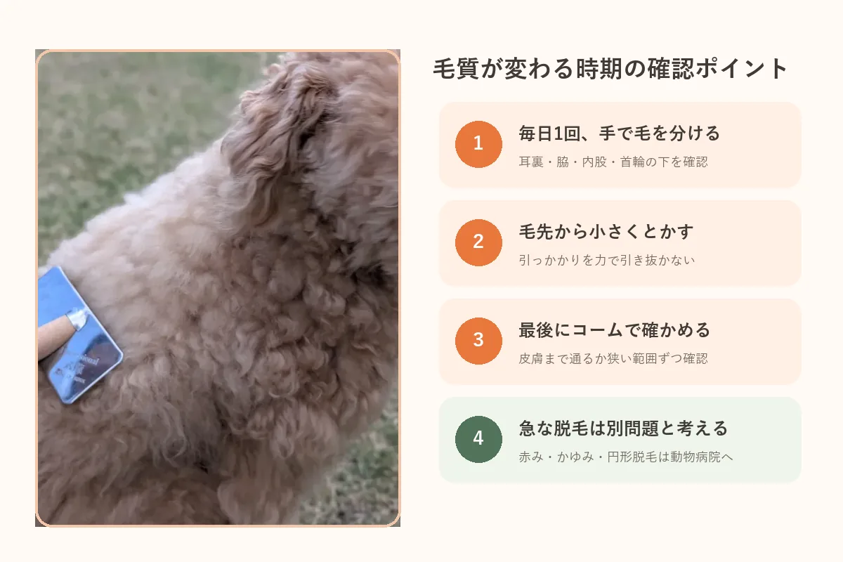 パピーコートが変わる時期に毎日確認したいブラッシングと受診のポイント